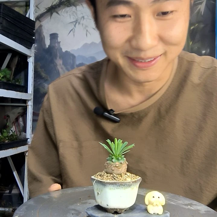 拥****蛋中青园艺一物一拍416