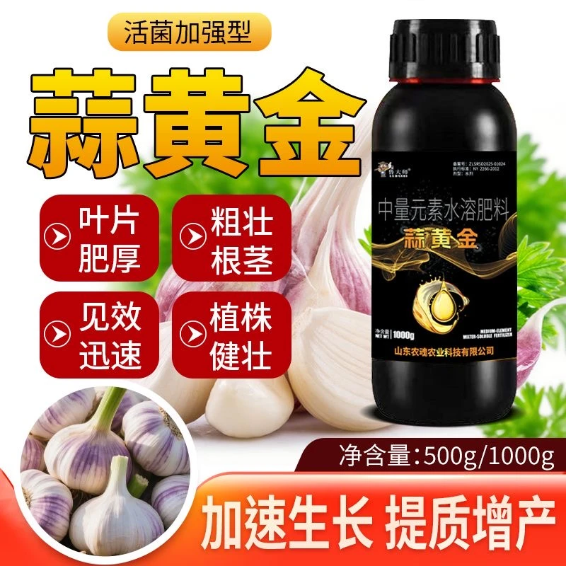 鲁大师正品蒜黄金蒜菌清原液胖大蒜生姜种植生根养根水溶肥料