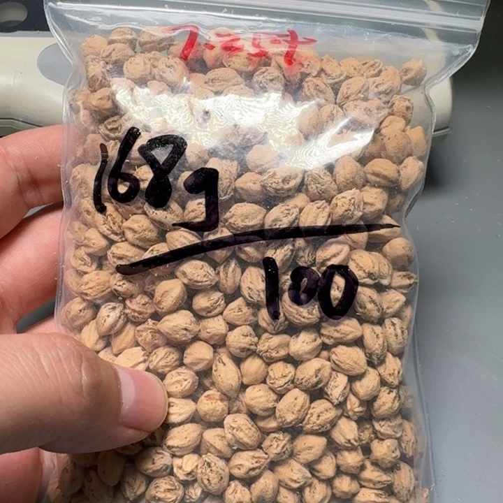 柏香籽/百香籽吊坠大*