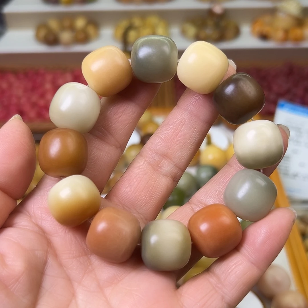 菩提根/象牙果手串瑕疵18干磨桶一桶9号