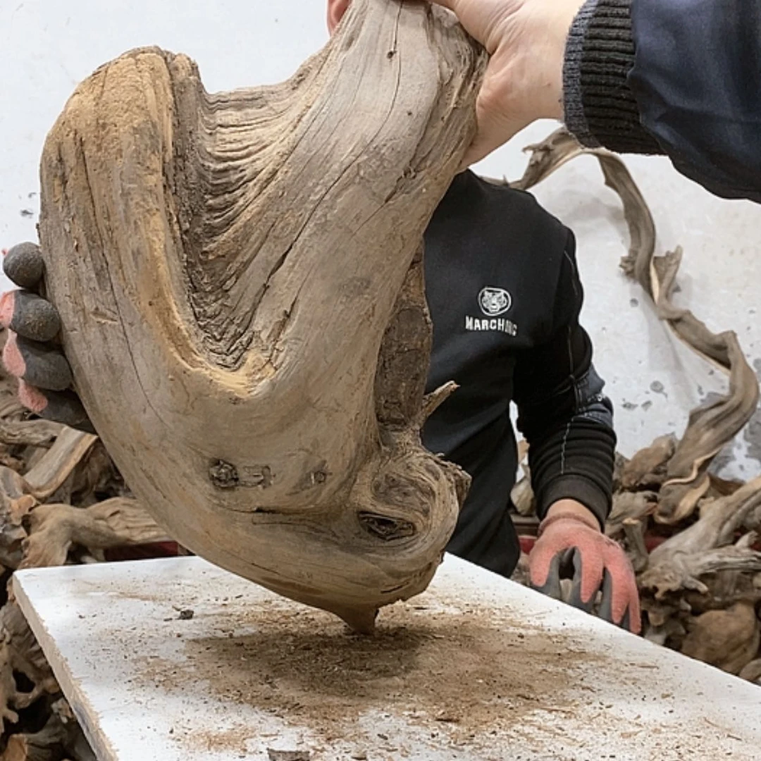 【闪购商品】柏木华*华我们都是好孩子