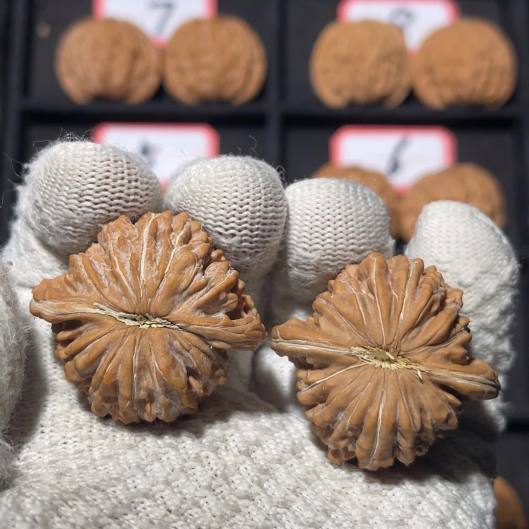 云***河吊坠文玩核桃03秦皇岛山地果全品