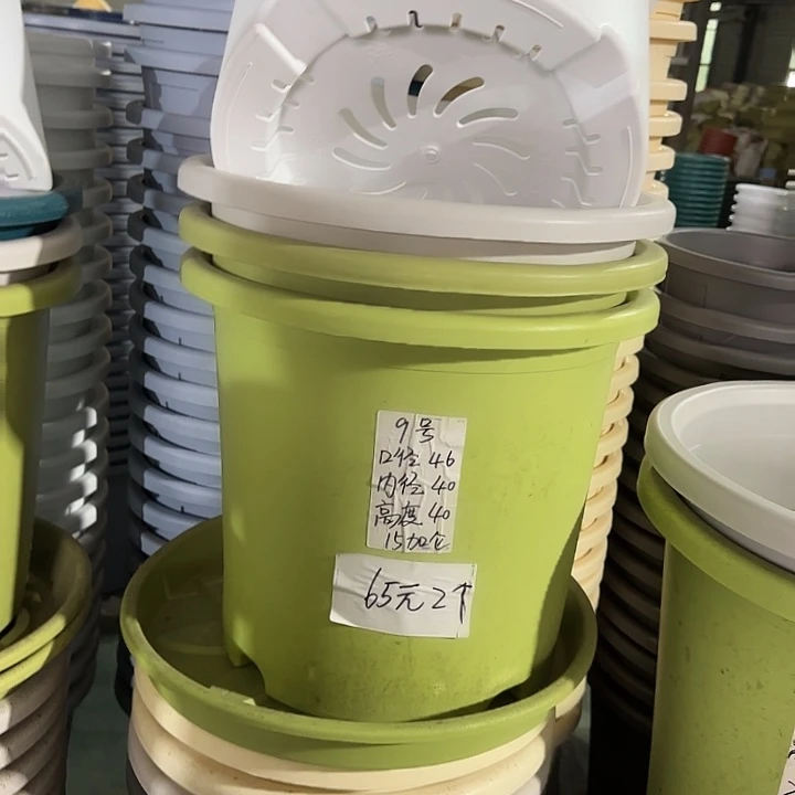 微瑕9#口径46无托果绿3个