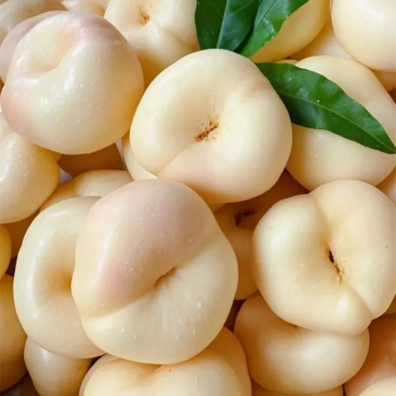 正宗山东蒙阴奶油蟠桃当季新鲜水果产地直发