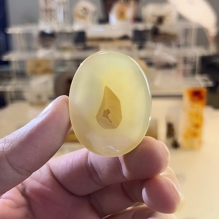 未镶嵌吊坠(不含链)玛瑙/玉髓