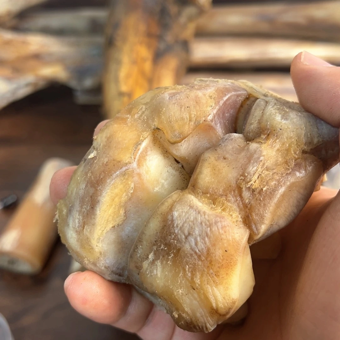 田*剑hhhu膝盖骨膝盖骨膝盖骨