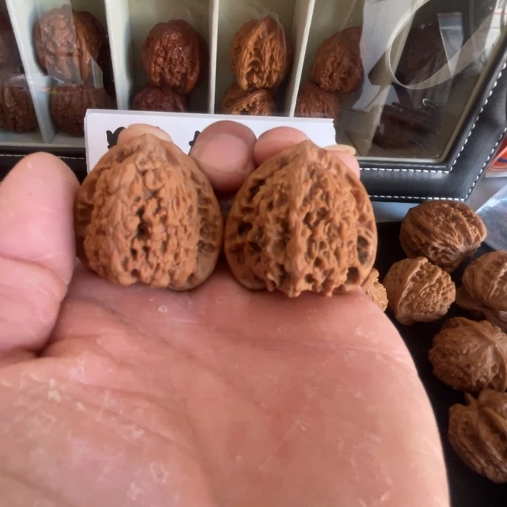 文玩核桃把件蚂蚁222