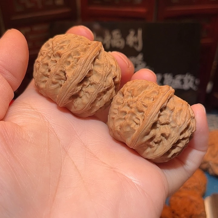 37边40肚球白狮子，