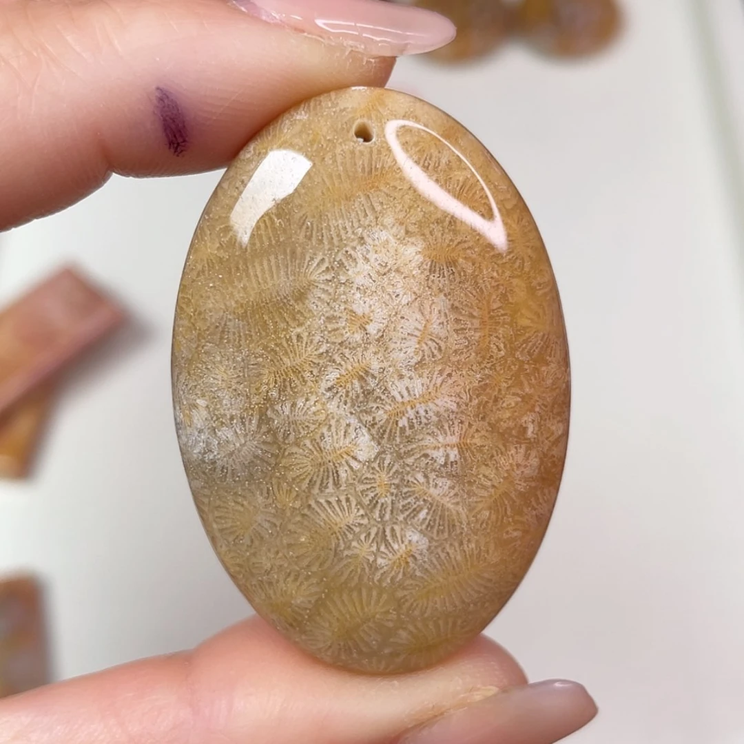 【闪购商品】未镶嵌吊坠(赠链)硅化玉