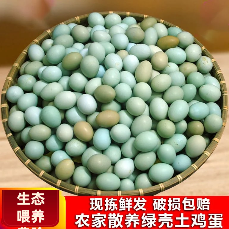 【助农】正宗乌鸡蛋绿壳蛋新鲜散养纯天月子营养整箱现捡现发生鲜