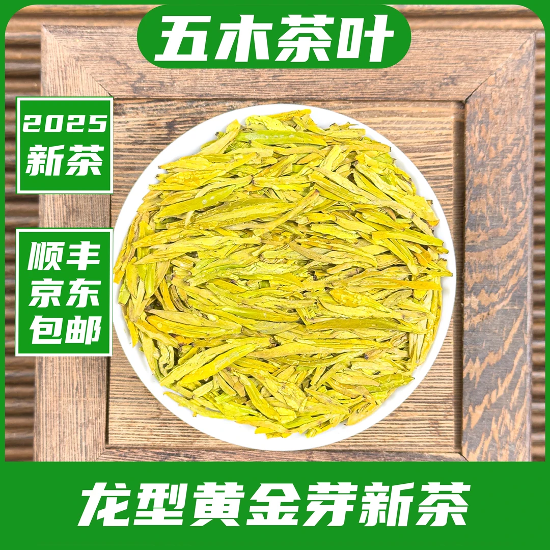 2025新茶明前松阳高山龙型黄金芽茶叶豆香鲜醇W【五木H32】