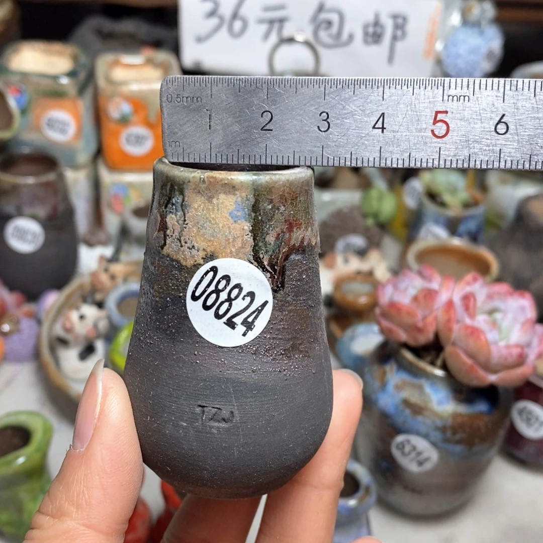 花盆拍5送一个小礼物