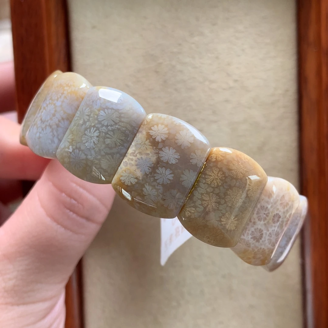 未镶嵌手排漏100/个。16硅化珊瑚（珊瑚玉）
