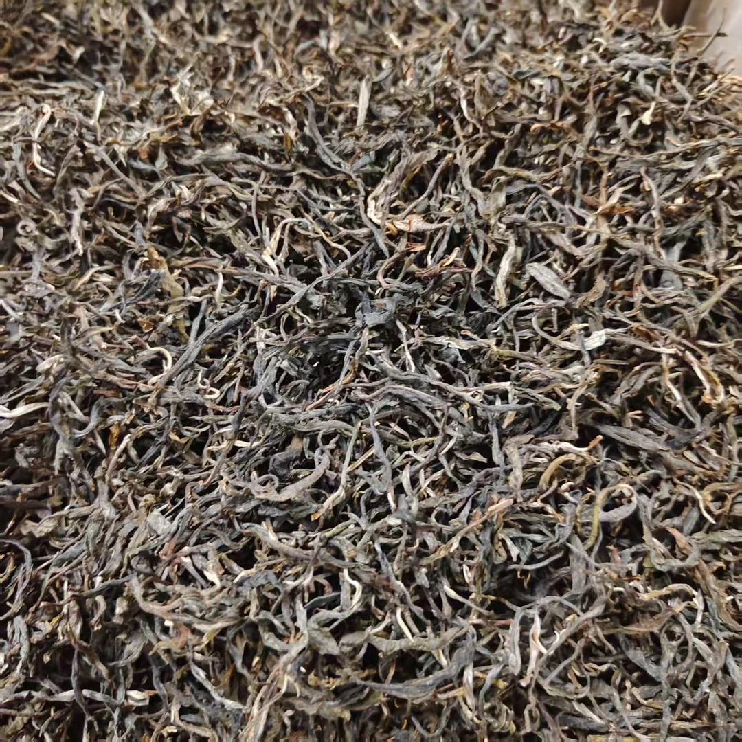 2025年景迈山大坪掌二春古树散茶