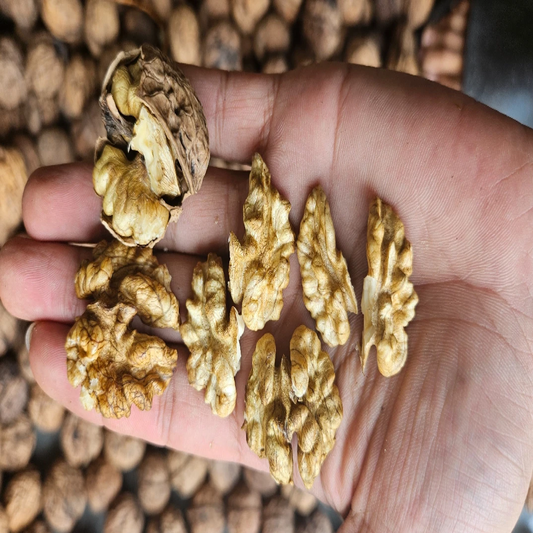 【老伍山货】云南中缅边境高山老树核桃