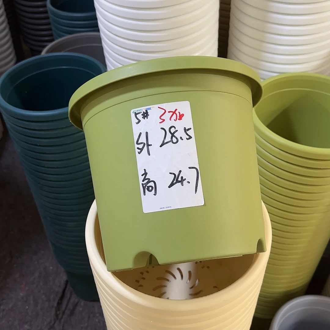 微瑕5号6个无托，果绿