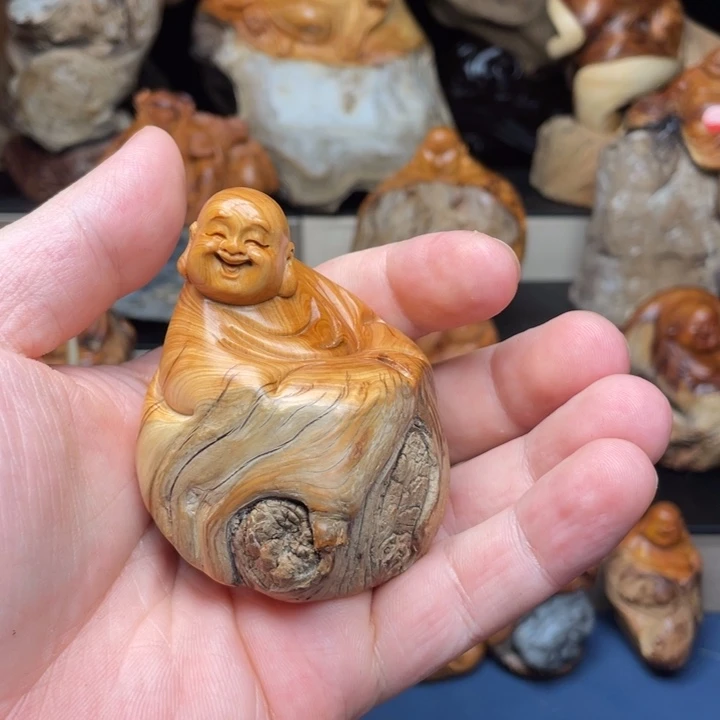 柏木（崖柏）25555555556555558