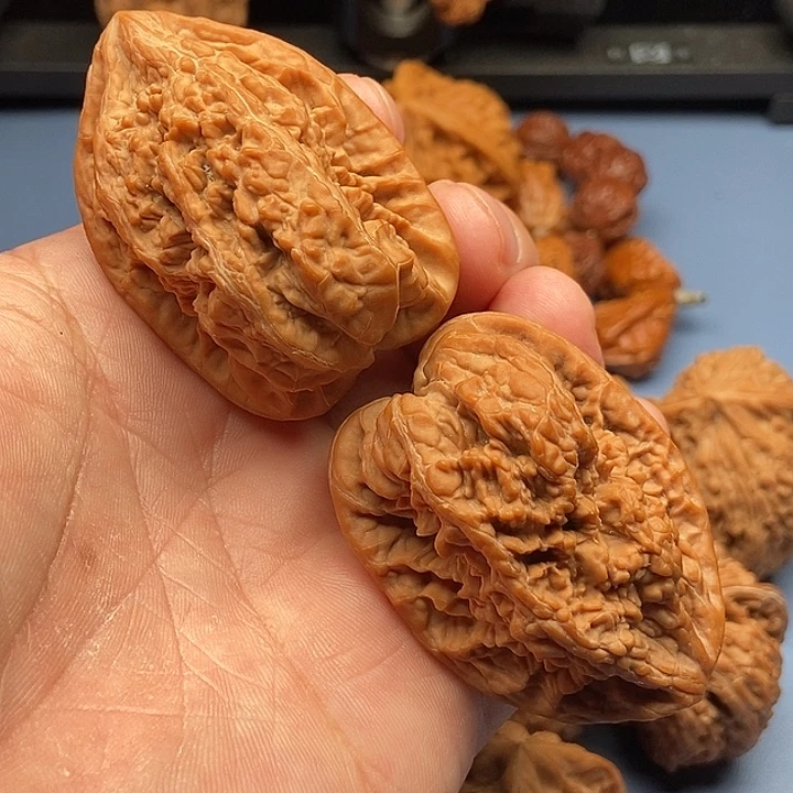 文玩核桃把件妖蟾万贯