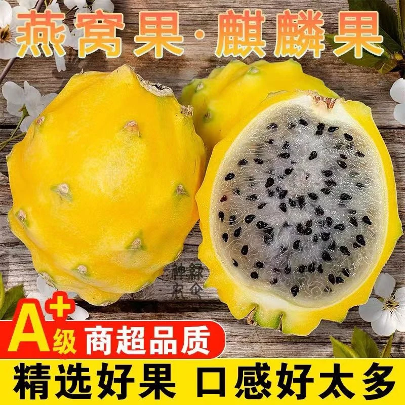 【纯甜无酸】新鲜云南燕窝果当季海南麒麟果热带高档罕见水果黄皮火