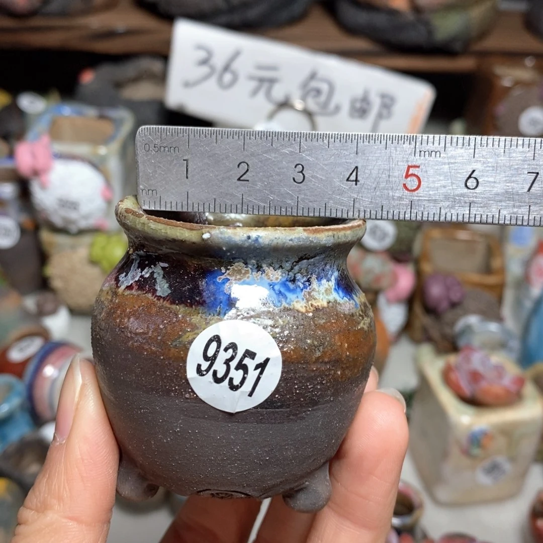 拍5送一个小礼物