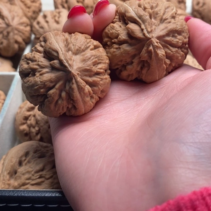 非***凡霸王龙全品无修一刀没动