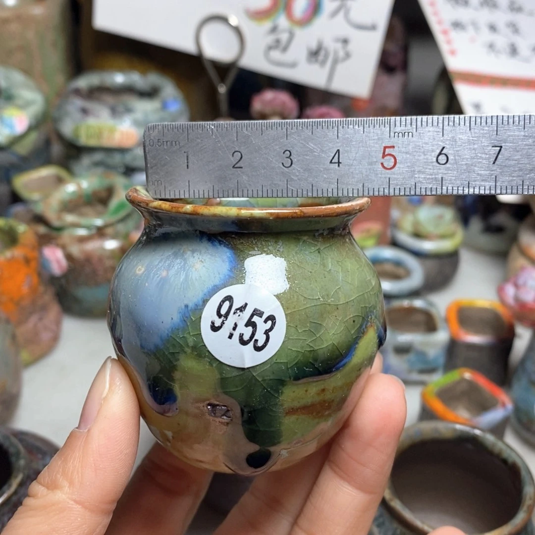 花盆拍5送一个小礼物