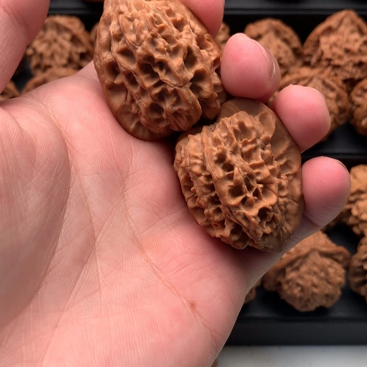 其他核桃小*?秦岭的一