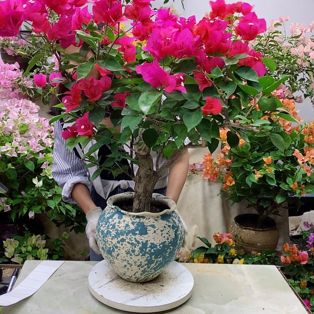 完全开放我要好好学习