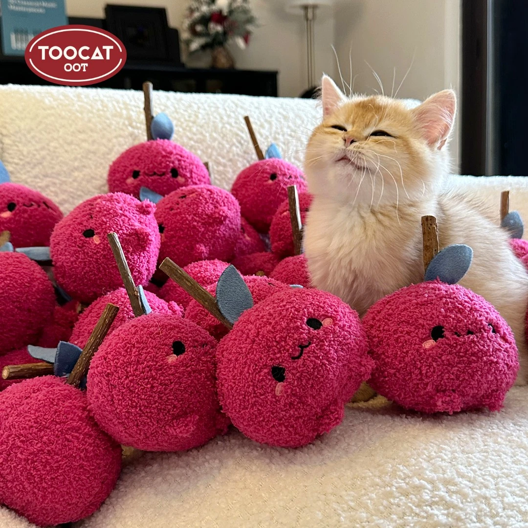 TOOCATOOT怪可爱猫咪磨牙玩具木天蓼自嗨解闷宠物用品耐咬逗猫棒