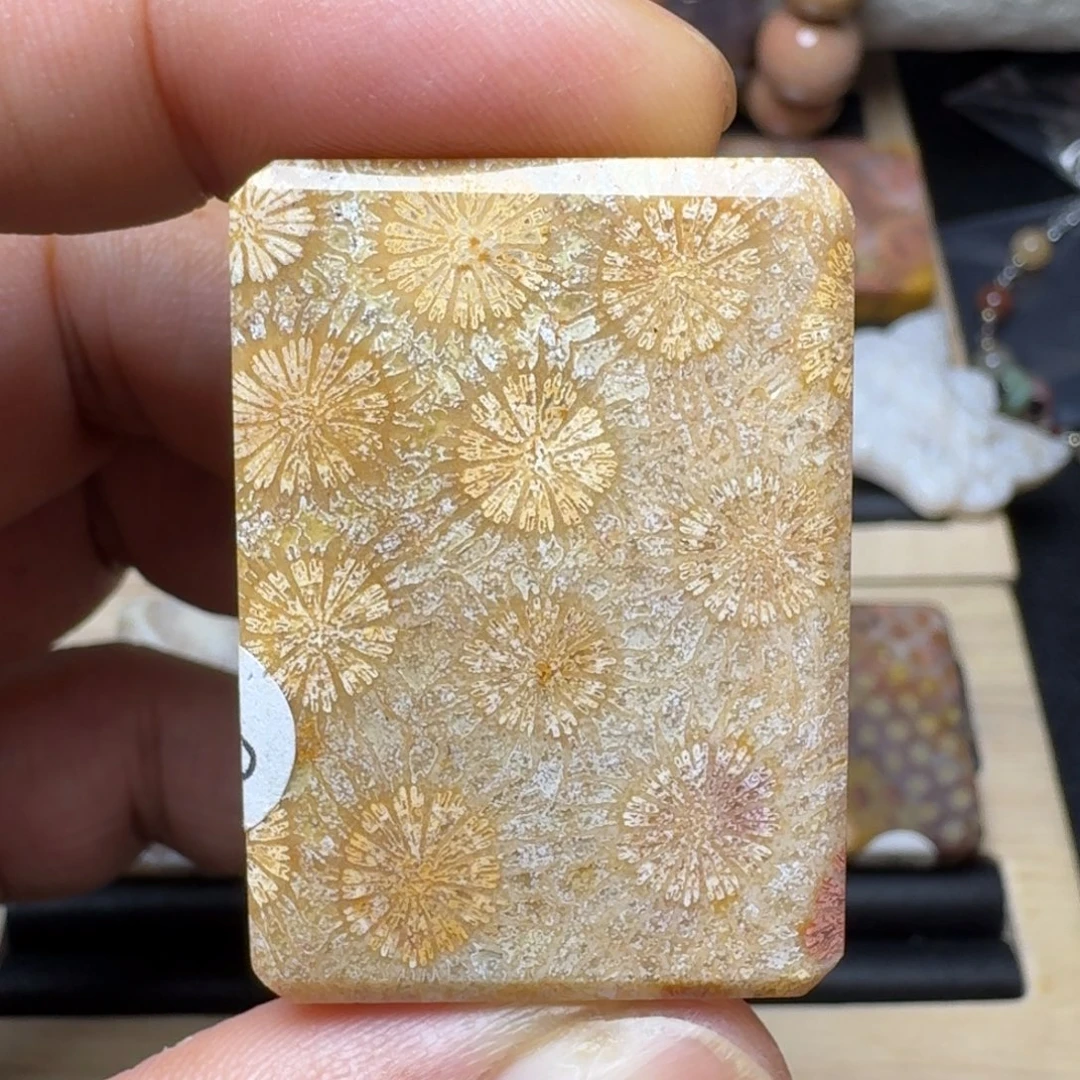 硅化玉未镶嵌纯天然色有机玉石保真色