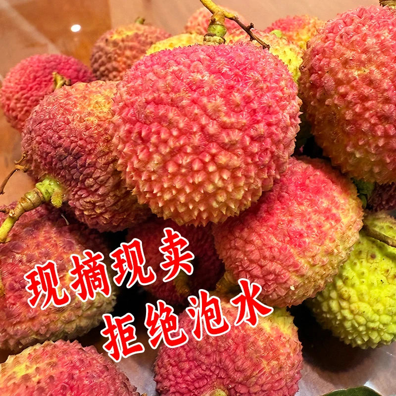 【东三西六省专属】广东妃子笑荔枝头茬现摘现发核小肉厚当季水果