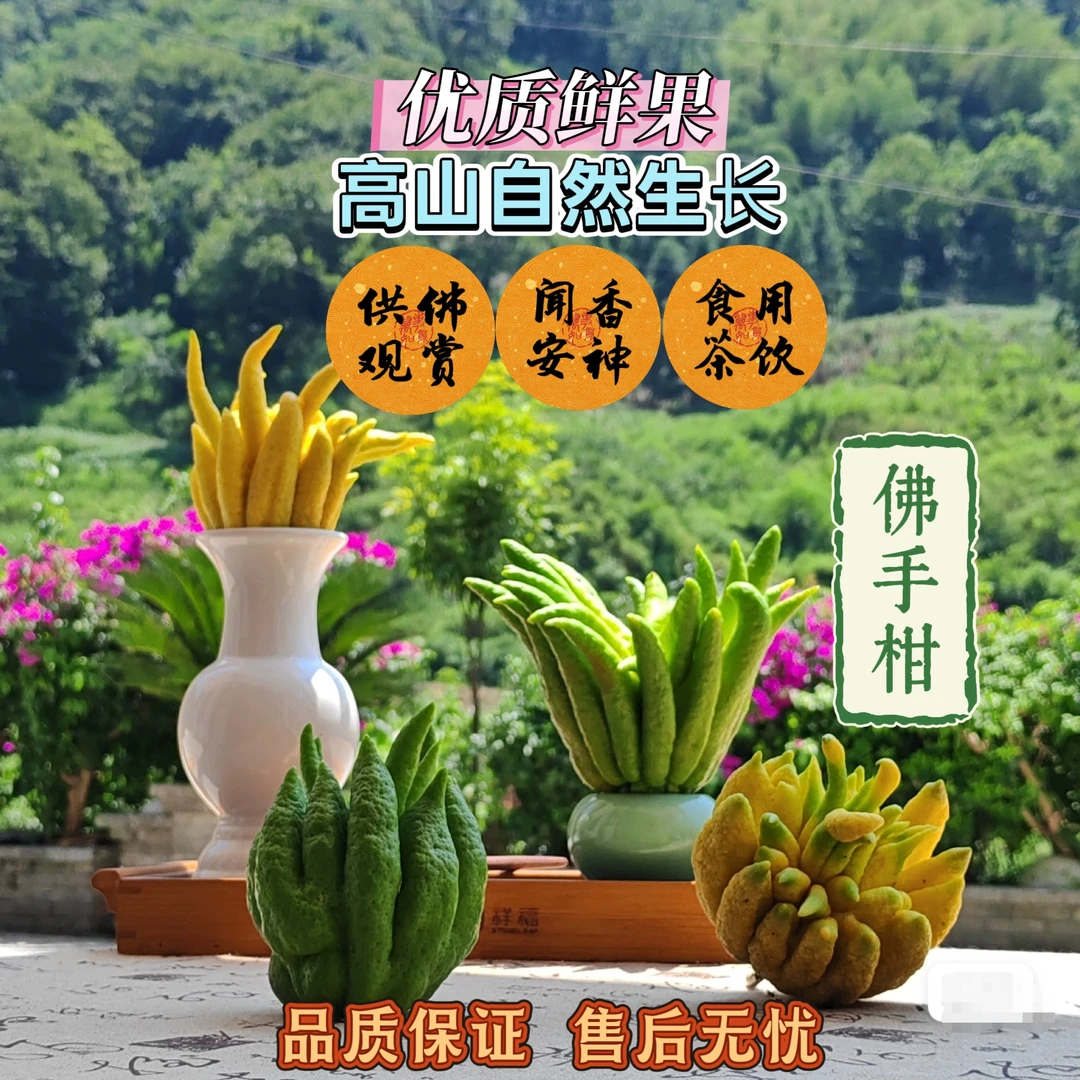川佛手助农新店开业！买一份清香，助一份农忙！