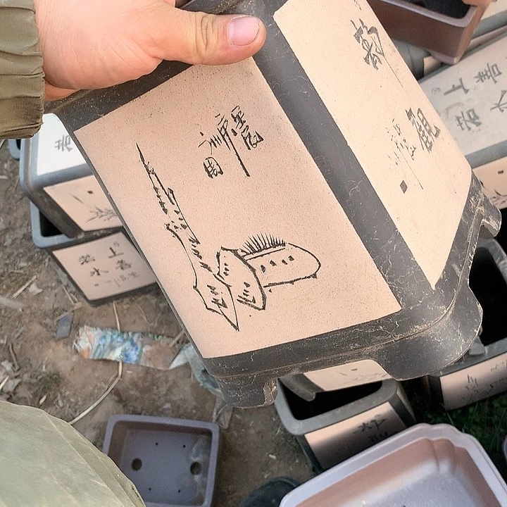 紫砂没有你喜欢吃辣不喜欢