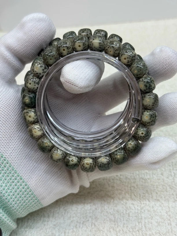 海南原生态星月菩提023