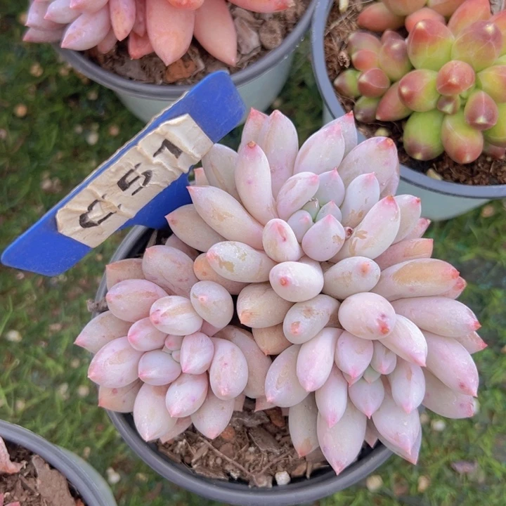 健健康康平平安安