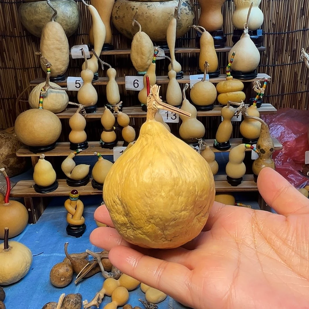 抽不裂的小汨罗肚墩9.9米包邮