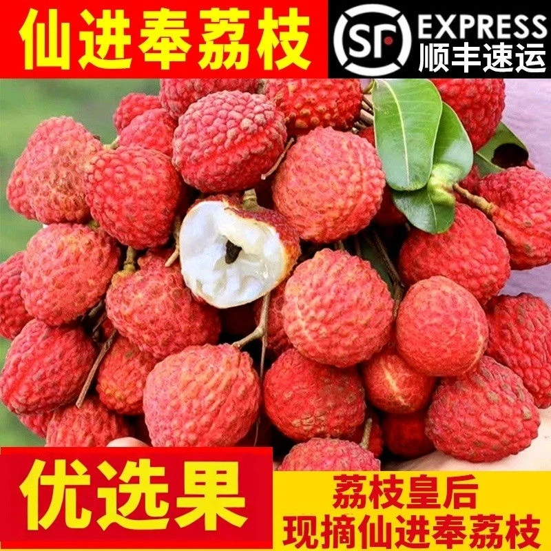 【正宗仙进奉】冷链直发 岭南贡荔新鲜荔枝