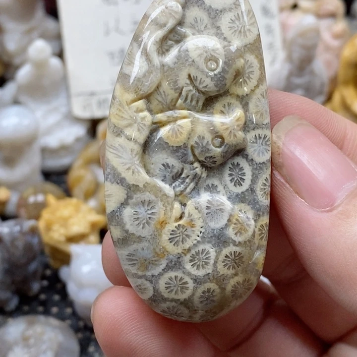 颈饰未镶嵌硅化珊瑚（珊瑚玉）