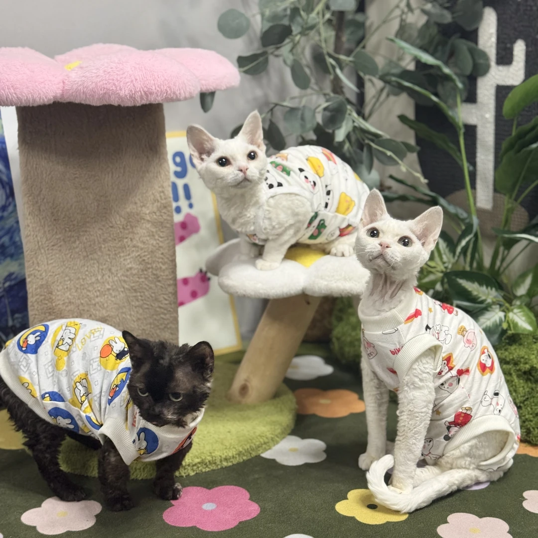 无毛猫衣服网眼夏季薄竹纤维抗菌吊带四脚透气斯芬克斯德文猫衣服