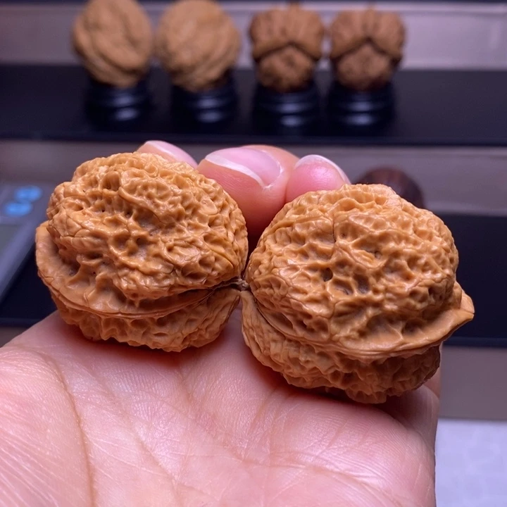 文玩核桃把件火凤金蟾50