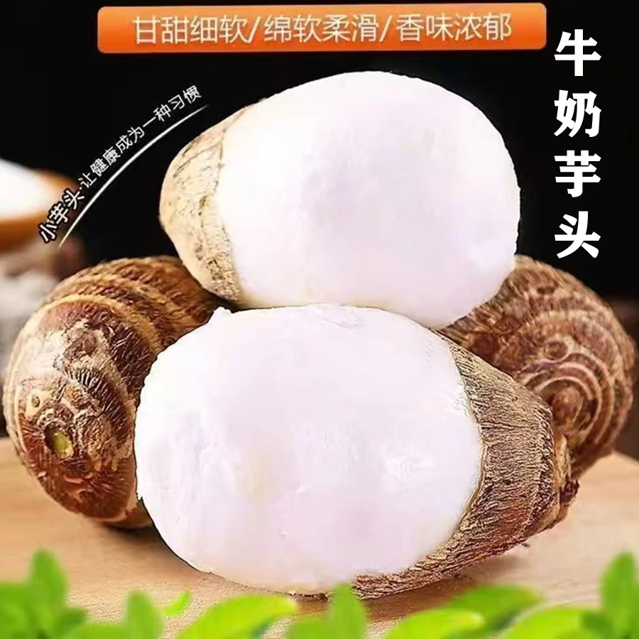 【新货】山东牛奶毛芋头5斤软糯香甜手工精选芋艿农家沙地种植整箱