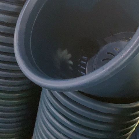 树脂四季8号藏青无托3个