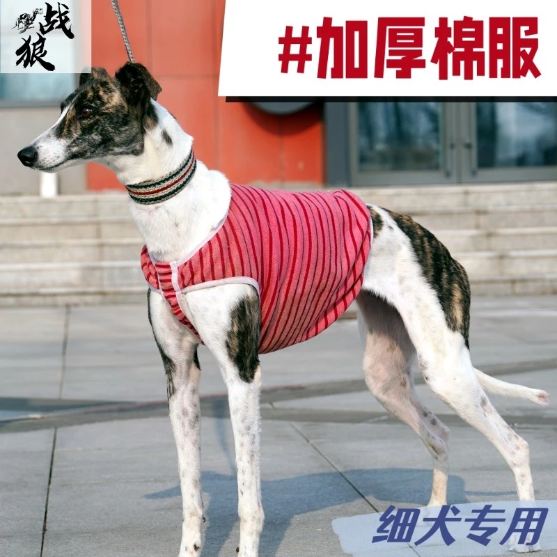 狗狗加绒保暖加厚棉服弹性颜色随机马甲设计穿脱方便不影响狗狗跑