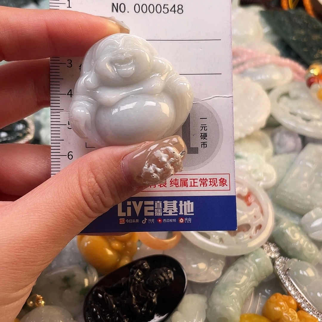 翡翠未镶嵌颈饰548
