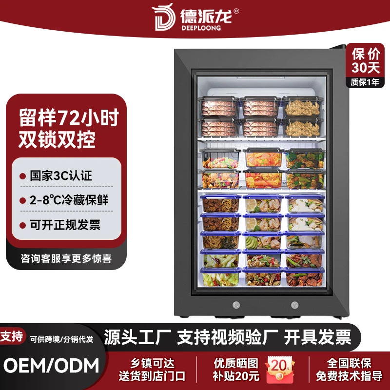 德派龙学校食品留样柜专用带锁幼儿园小型留样柜保鲜冷藏箱展示柜