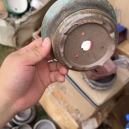 在干嘛的我也睡啦一下午