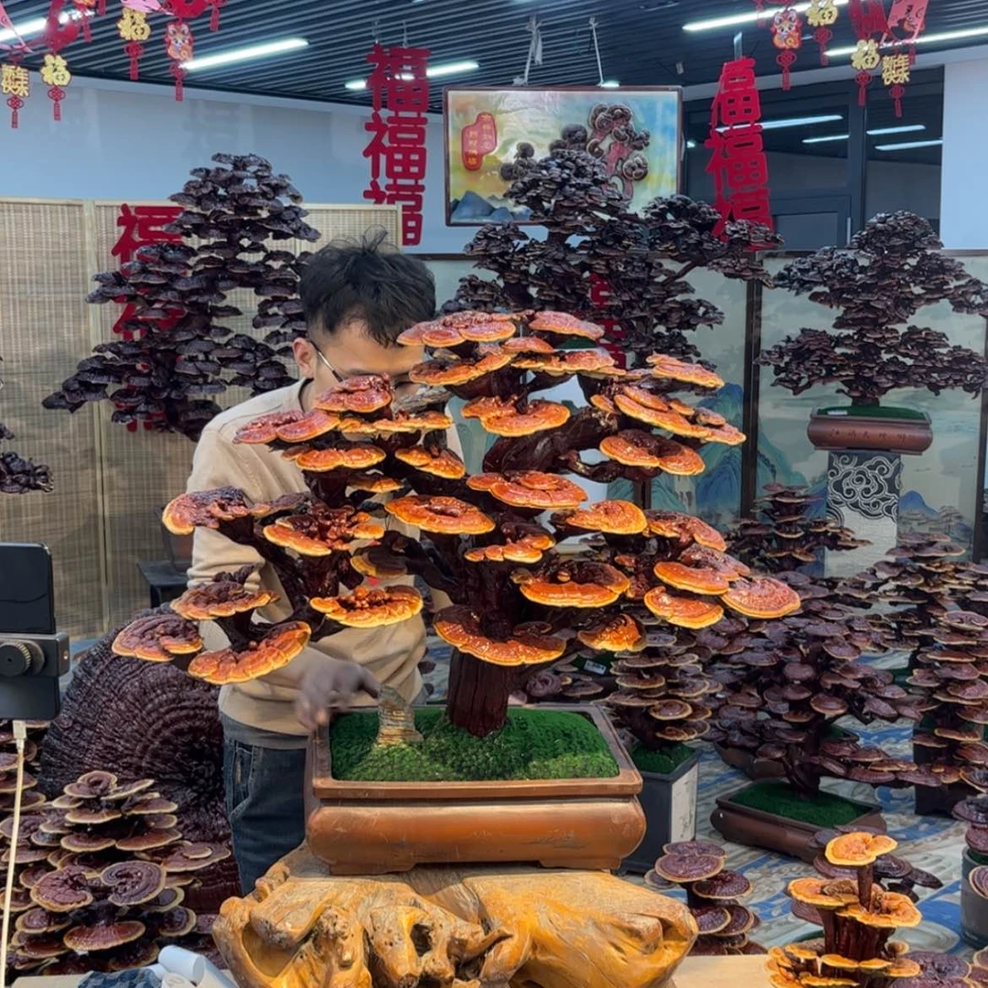 【闪购商品】88888