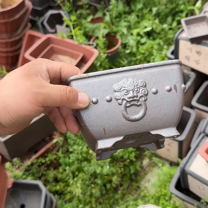 是一个集休闲农业的休闲胜地以及