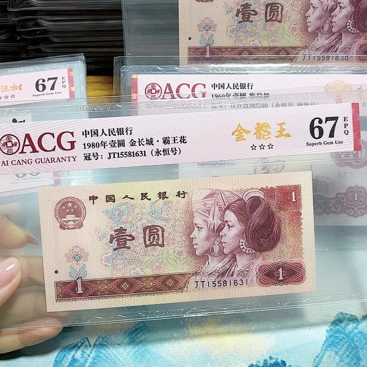 15581631。。。。金龙王