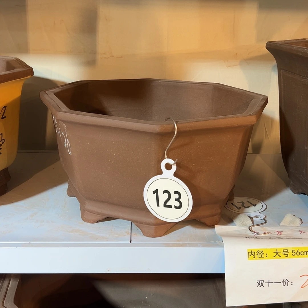 新八方2号本色一个